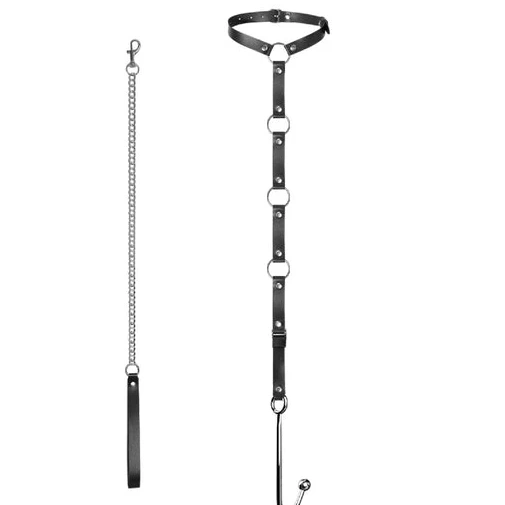 EverydayUse Kinky Leash with 5853 Anal Collar and Hook 0528